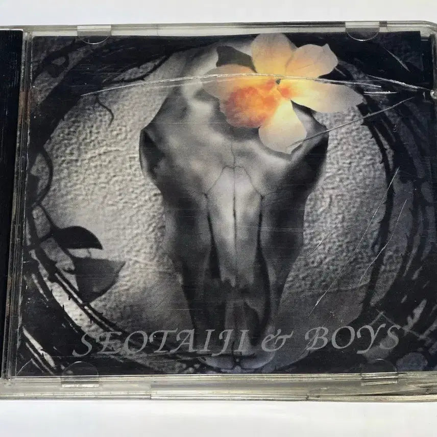 [BUNJANG] Seo Taiji and Boys 3rd Album &