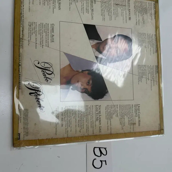 [BUNJANG] Peabo Bryson &amp; Roberta Flack Born To Love LP / 피보 브라이슨 로버타 플랙 소울 명반 Born To Love LP팝니다