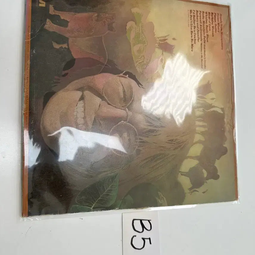 [BUNJANG] John Denver High Fidelity Country Classics LP / 존 덴버 John Denver 고음질 컨트리 명곡 LP 팝니다