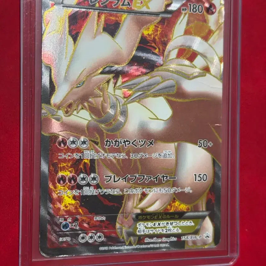 [BUNJANG] Reshiram EX BW SR Promo (Japanese) / 포켓몬 카드 레시라무 EX BW SR 프로모(일판)