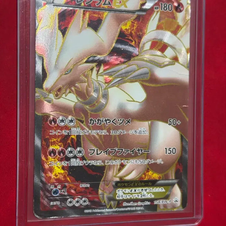 [BUNJANG] Reshiram EX BW SR Promo (Japanese) / 포켓몬 카드 레시라무 EX BW SR 프로모(일판)
