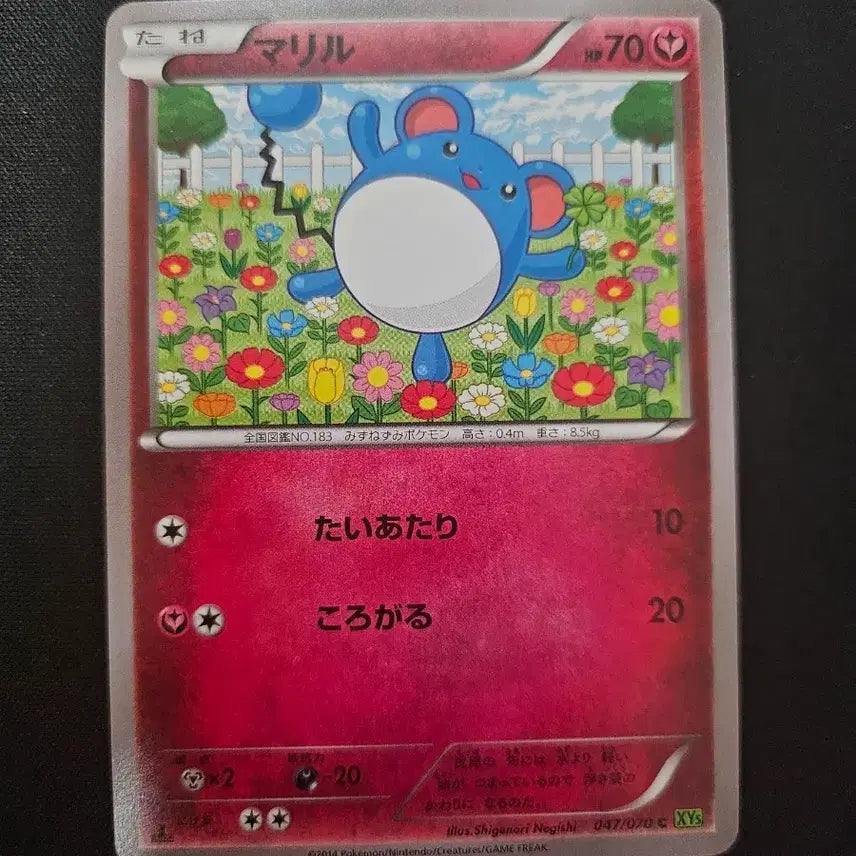 [BUNJANG] 2014 Marill Pokemon Card / 2014년 포켓몬 카드 마릴