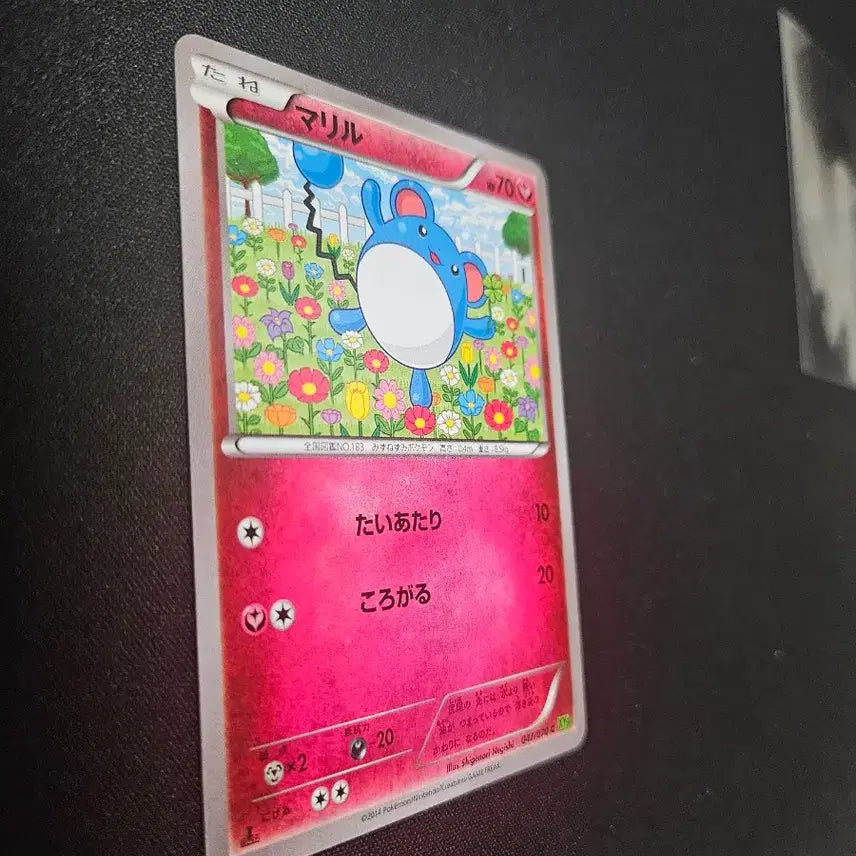 [BUNJANG] 2014 Marill Pokemon Card / 2014년 포켓몬 카드 마릴