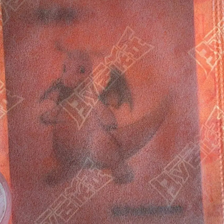 [BUNJANG] Pokemon 30th Anniversary Bband Seal Dragonite / 포켓몬 30주년 띠부씰 망나뇽