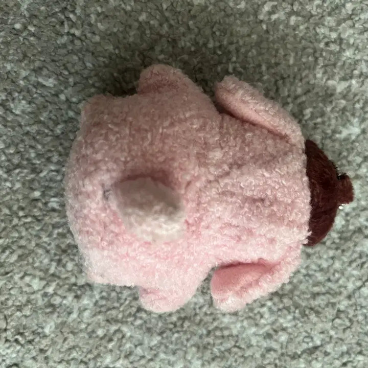 [BUNJANG] Sanrio Classic Raspberry Pompompurin Plush / 산리오 고전 핑크과일 라즈베리  폼폼푸린