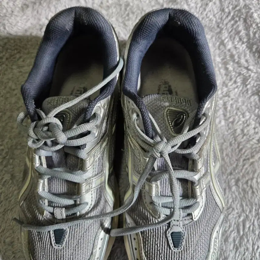 [BUNJANG] Asics Gel-1090 Piedmont / 아식스 젤-1090 피드몬트 270