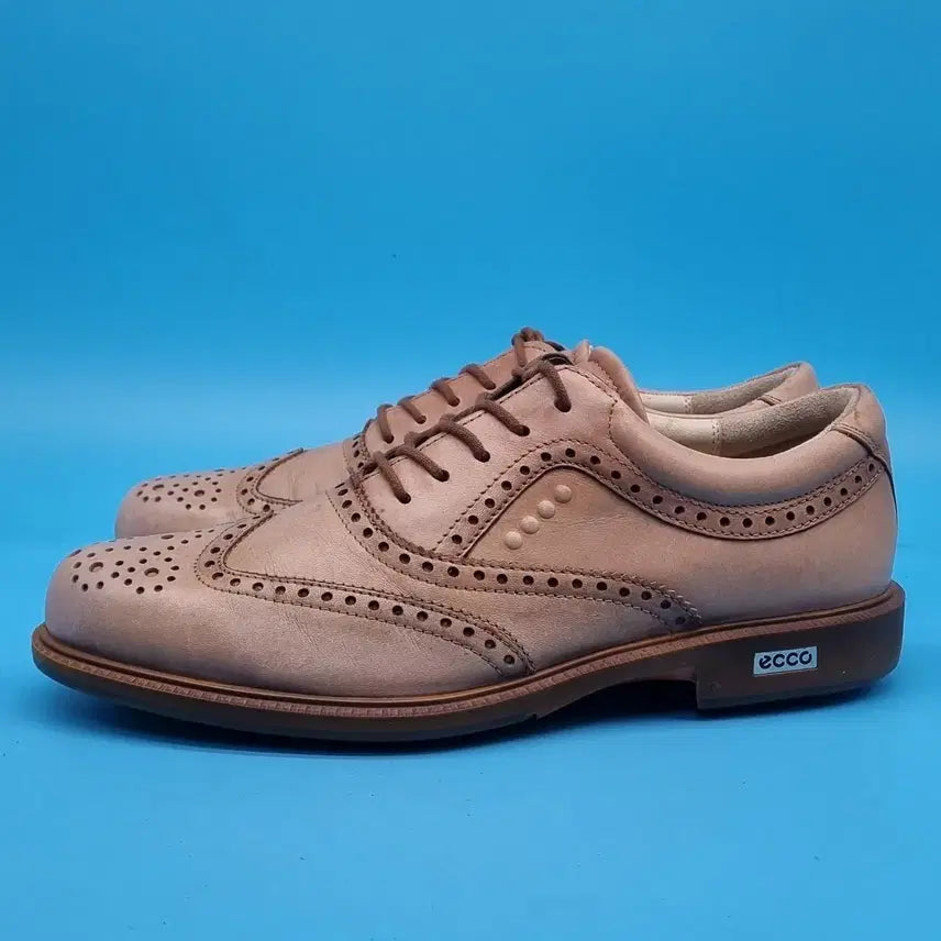 [BUNJANG] H.H.H. Eco Hybrid Wingtip Classic Golf Shoes 260mm / hhh 에코 하이브리드 윙팁 클래식 골프화 40 260
