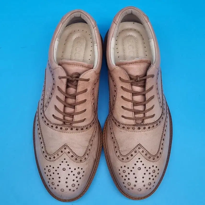 [BUNJANG] H.H.H. Eco Hybrid Wingtip Classic Golf Shoes 260mm / hhh 에코 하이브리드 윙팁 클래식 골프화 40 260