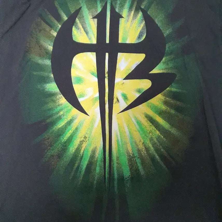 [BUNJANG] WWE Hardy Boyz Short Sleeve T-Shirt / WWE 하디 보이즈 반팔 티셔츠