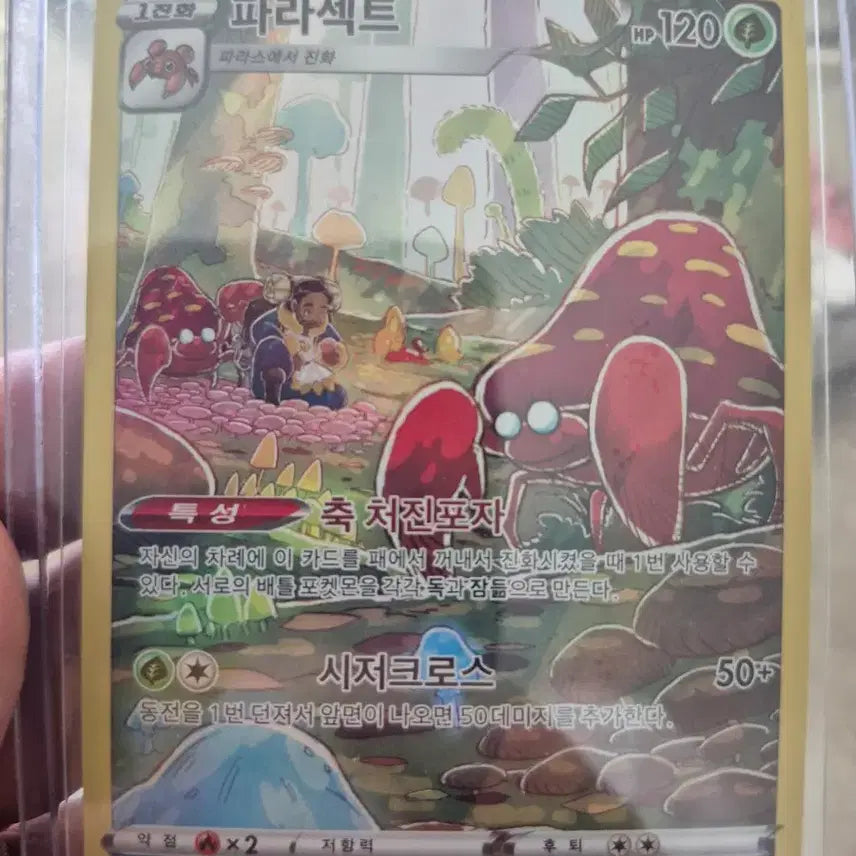 [BUNJANG] Pokemon Trading Card / 포켓몬 트카드