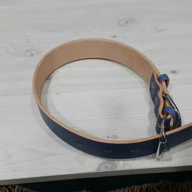 [BUNJANG] Unused Medium Dog Leash (Single Item) / 중형견용 미사용 목줄 개당 판매