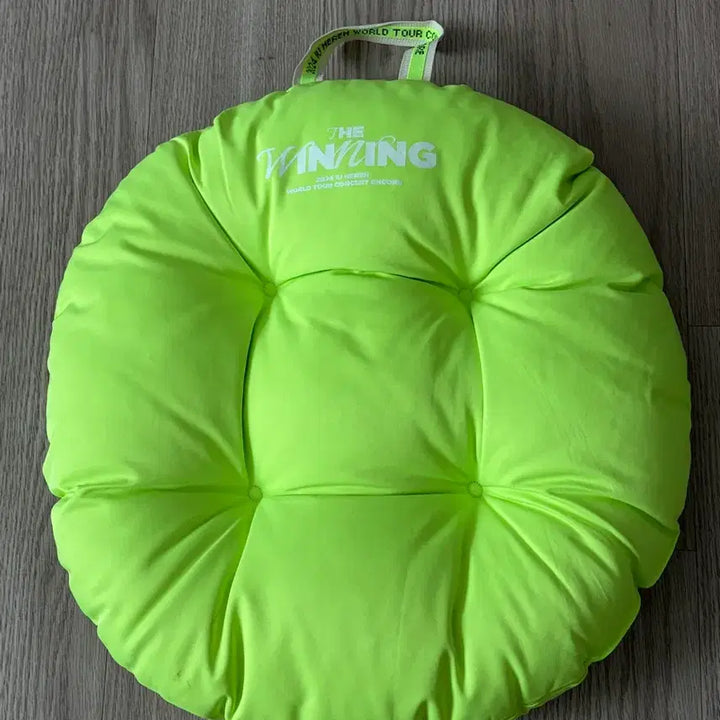 [BUNJANG] IU Concert Seat Cushion / 아이유 콘서트 방석