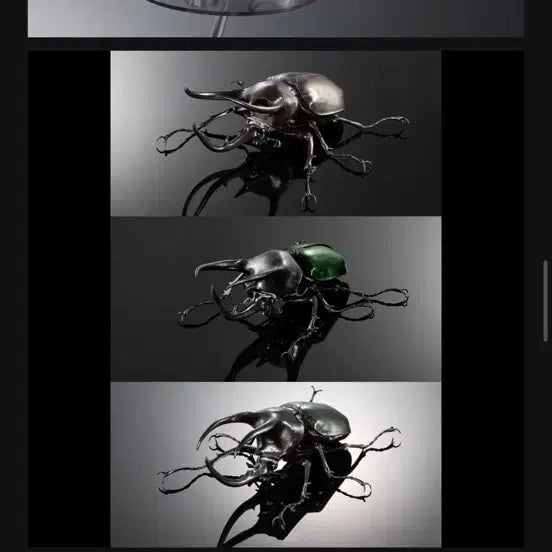 [BUNJANG] Beetle Encyclopedia Caucasus Rhinoceros Beetle 3-Species Full Set / 생물 대도감 코카서스 장수풍뎅이 3종 풀세트