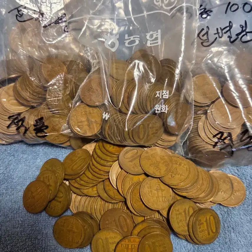 [BUNJANG] 1970 10 Won Coin (Red Copper) / (판매완료)1970년 10원동전 (적동)