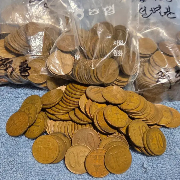 [BUNJANG] 1970 10 Won Coin (Red Copper) / (판매완료)1970년 10원동전 (적동)