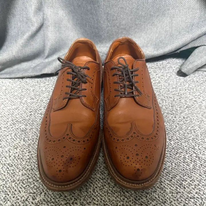 [SOLD OUT] 알든 97641 카프스킨 롱윙 블러쳐 9.5D