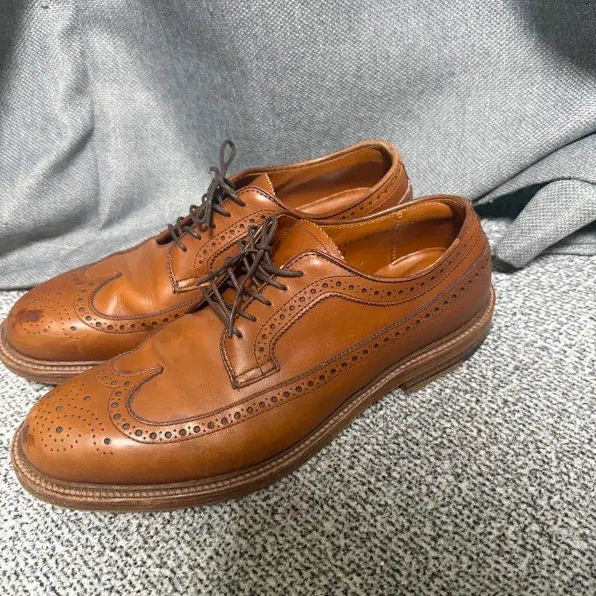 [SOLD OUT] 알든 97641 카프스킨 롱윙 블러쳐 9.5D