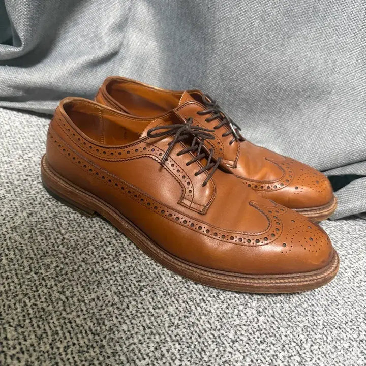 [SOLD OUT] 알든 97641 카프스킨 롱윙 블러쳐 9.5D
