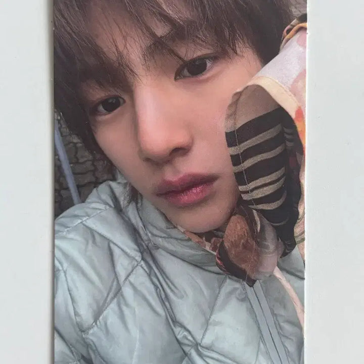 [BUNJANG] Enhypen Sunghoon Curtis Green Weverse POB / 코르티스 그린그린 위버스 미공포 주훈