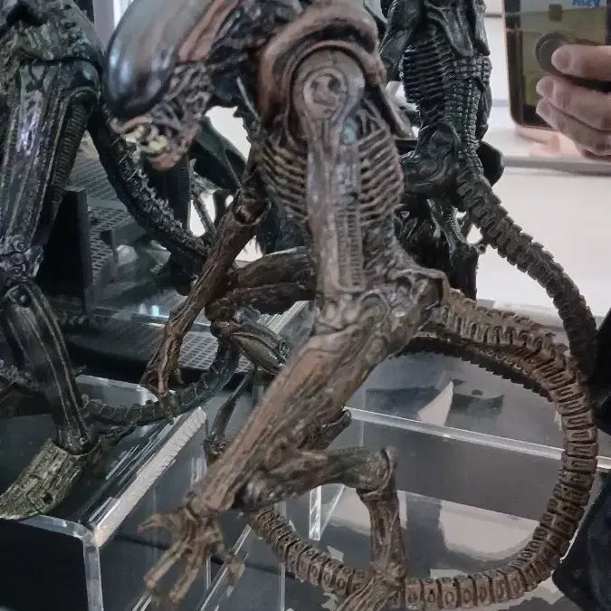 [BUNJANG] NECA Dog Alien Figure / 네카 도그 에일리언 피규어