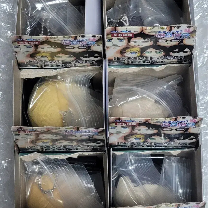 [BUNJANG] Attack on Titan Manju 6종 Full Box Set (Erwin, Levi, Hange, Eren, Mikasa, Armin) / 진격의 거인 만쥬 6종 풀박스 엘빈 리바이 한지 에렌 미카사 아르민