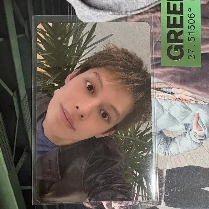 [BUNJANG] Cortis Green Green Album Photocard James / 코르티스그린그린앨범포카제임스