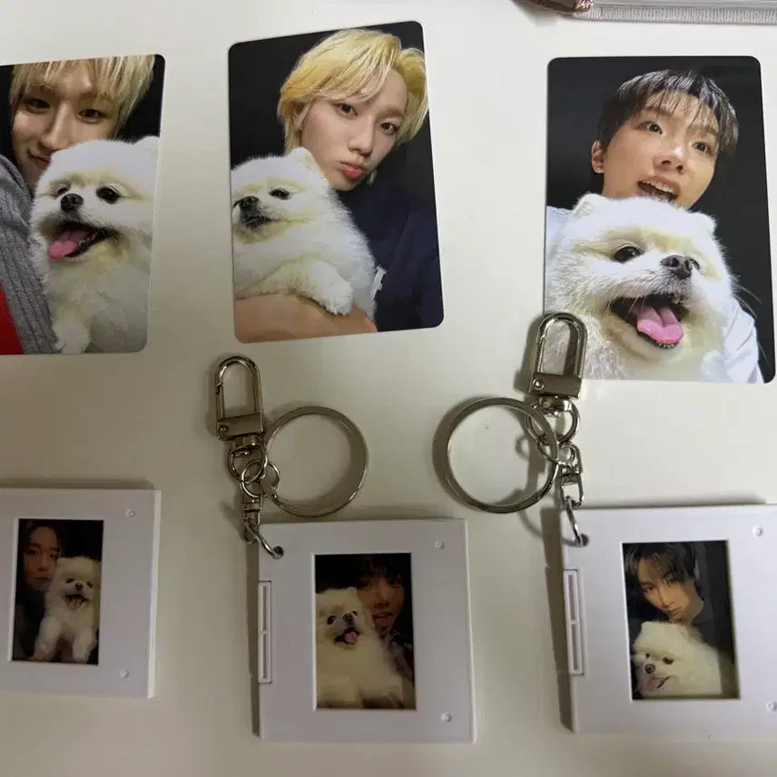 [BUNJANG] BOYNEXTDOOR Sealed Album / 보넥도 home 홈 바이럴 앨범 포카 양도