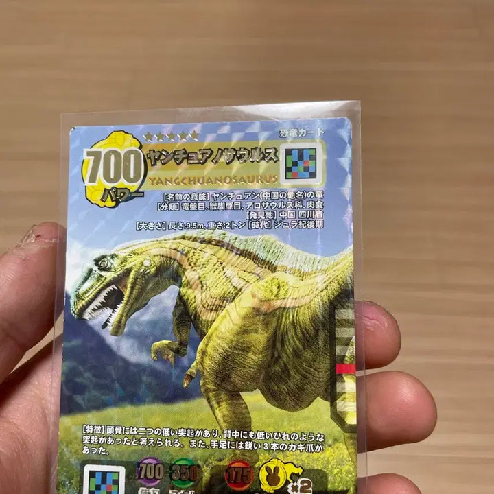 [BUNJANG] Yangchuanosaurus Dinosaur King Card (Japanese Edition) / 공룡왕 카드 양추아노사우르스 팝니다