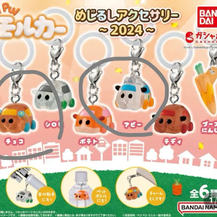 [BUNJANG] Bandai Pui Pui Molcar Medallion Gacha Bundle Set / 반다이 뿌이뿌이 모루카 2024 메지루시 가챠 일괄