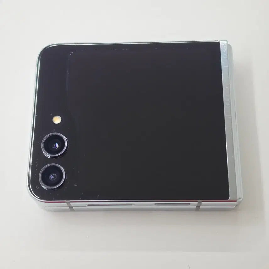 [BUNJANG] Samsung Galaxy Z Flip5 256GB Mint / 플립5 256기가 민트