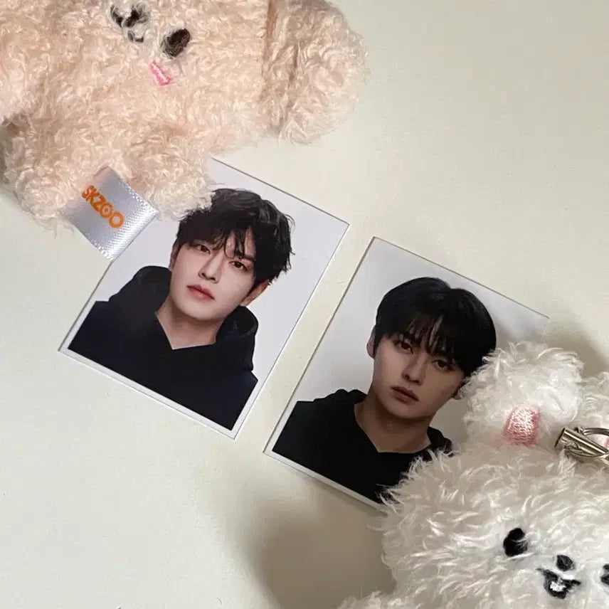[BUNJANG] Stray Kids Lee Know Changbin Han Minho Seungmin K-Aganz Studio Photo 2x Set / 스트레이키즈 스키즈 리노 승민 가관즈 증사 스키즈 비공굿