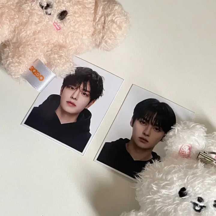 [BUNJANG] Stray Kids Lee Know Changbin Han Minho Seungmin K-Aganz Studio Photo 2x Set / 스트레이키즈 스키즈 리노 승민 가관즈 증사 스키즈 비공굿