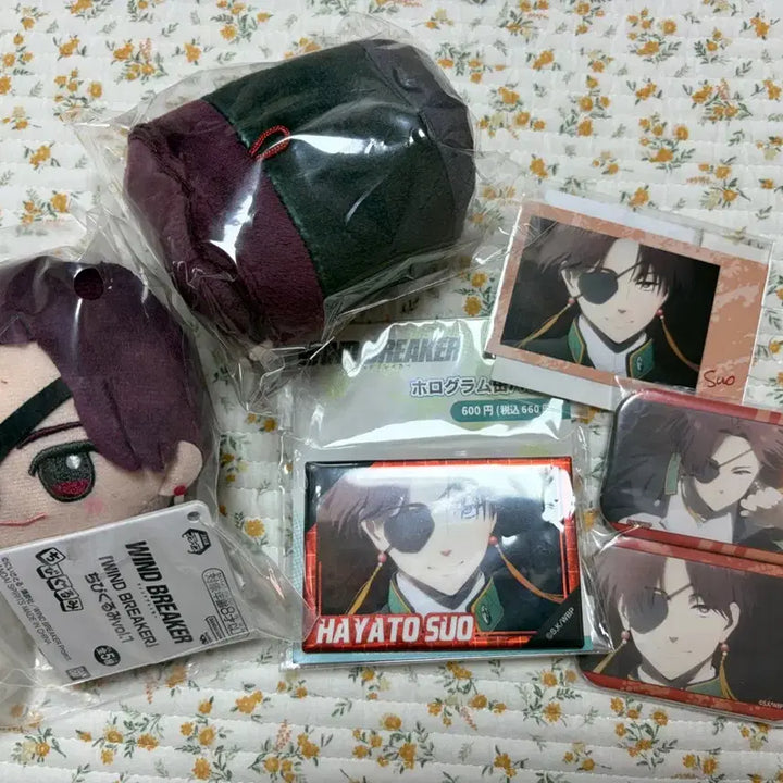 [BUNJANG] Wind Breaker Hayato Suo Can Badges &amp; Plush Doll Set / 윈드브레이커 윈브레 스오 캔뱃지 누이 인형 판매
