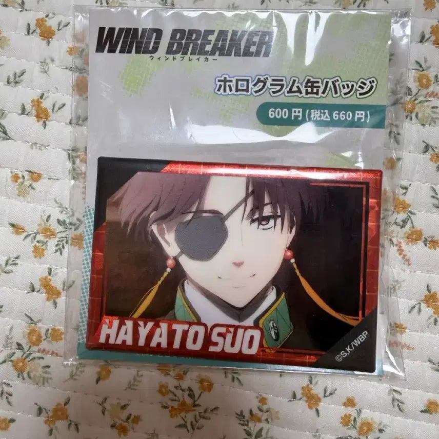 [BUNJANG] Wind Breaker Hayato Suo Can Badges &amp; Plush Doll Set / 윈드브레이커 윈브레 스오 캔뱃지 누이 인형 판매