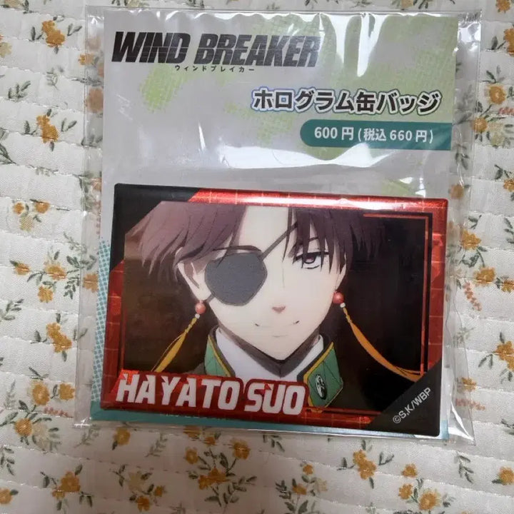 [BUNJANG] Wind Breaker Hayato Suo Can Badges &amp; Plush Doll Set / 윈드브레이커 윈브레 스오 캔뱃지 누이 인형 판매