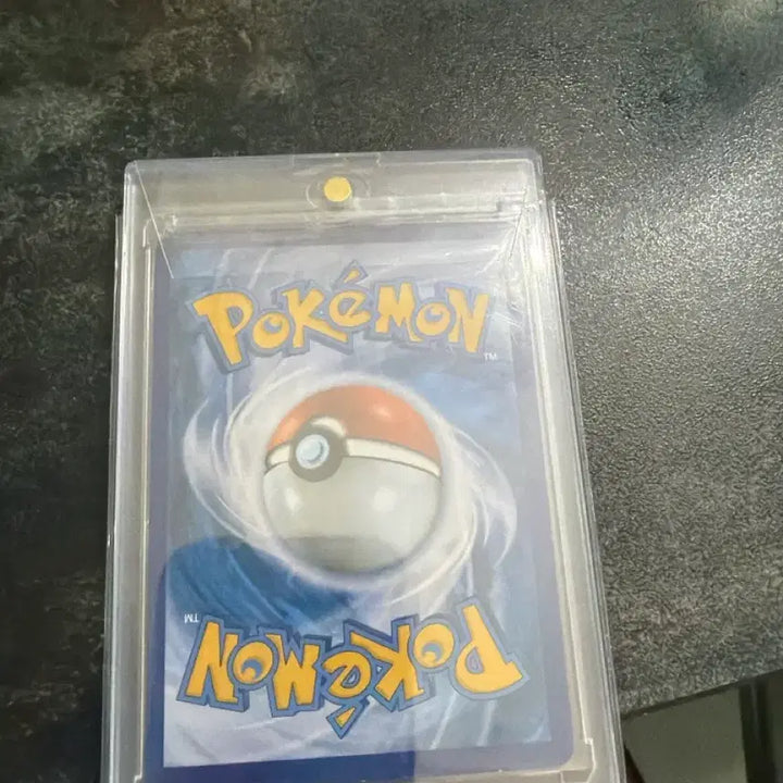 [SOLD OUT] 포킷몬 카드 블랙키 특일