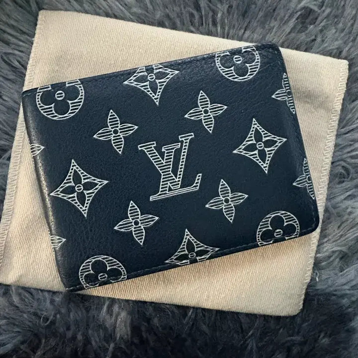 [BUNJANG] Louis Vuitton Shadow Multiple Wallet / [정품/풀구성] 루이비통 쉐도우 멀티플 반지갑