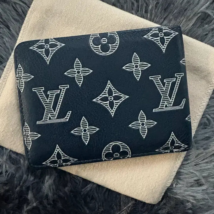 [BUNJANG] Louis Vuitton Shadow Multiple Wallet / [정품/풀구성] 루이비통 쉐도우 멀티플 반지갑