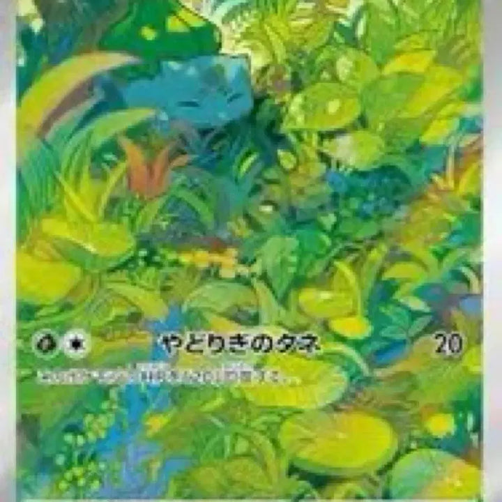 [BUNJANG] Pokemon Card Bulbasaur 151 AR Japanese + Korean Set / 포켓몬 카드 이상해씨 151 AR 일판+한판