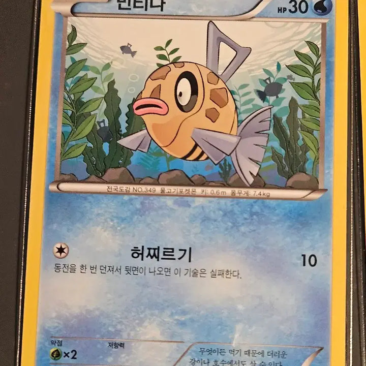 [BUNJANG] Pokemon Card Set / 포켓몬 카드 미끄네일, 빈티나 등