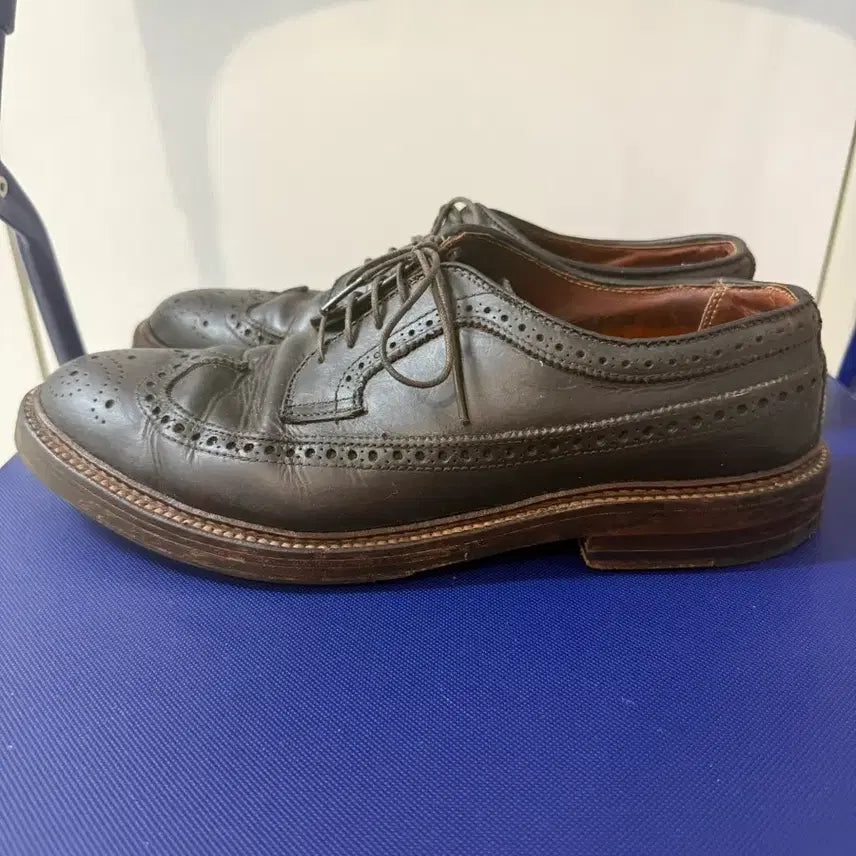 [BUNJANG] Alden Longwing Blucher Brown Chromexcel Shoes / Alden  Longwing Blucher Brown Chromexcel