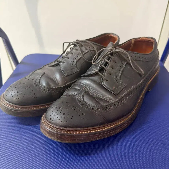 [BUNJANG] Alden Longwing Blucher Brown Chromexcel Shoes / Alden  Longwing Blucher Brown Chromexcel