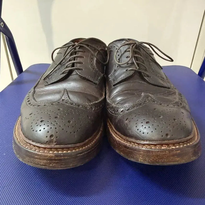 [BUNJANG] Alden Longwing Blucher Brown Chromexcel Shoes / Alden  Longwing Blucher Brown Chromexcel