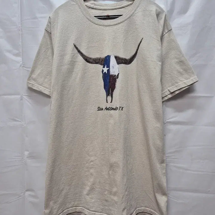 [BUNJANG] Hanes Short Sleeve T-Shirt Size L / hanes  반팔