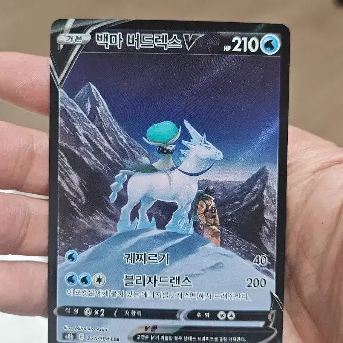 [BUNJANG] Pokemon Card Spectrier CSR / 포켓몬카드 백마버드렉스 CSR 카드 팝니다