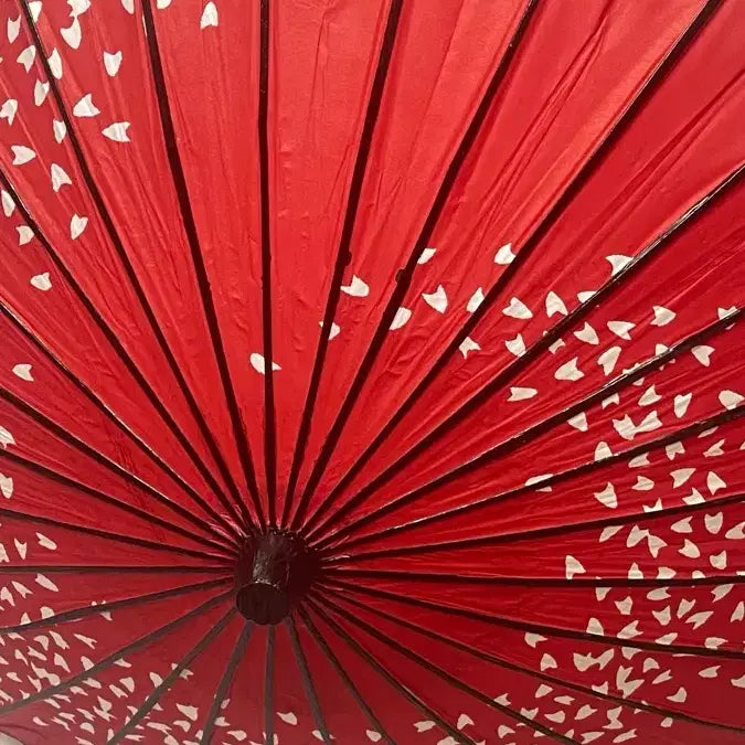 [BUNJANG] Red White Patterned Japanese Traditional Wagasa Umbrella / 레드 화이트 패턴 일본 전통 와 우산 와가사 코스프레 소품 판매합니다!
