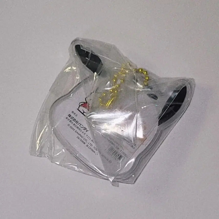[BUNJANG] Sanrio Pochacco Miniature Package Charm Keychain (Sealed) / [미개봉] 산리오 포챠코 미니어처 패키지 참 키링