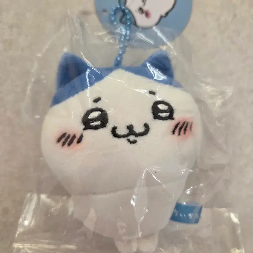 [BUNJANG] Nagano Uchuu Nanchara Hachiware Mascot Keychain / <정품/새상품>나가노 우쭐한 하치와레 마스코트 키링