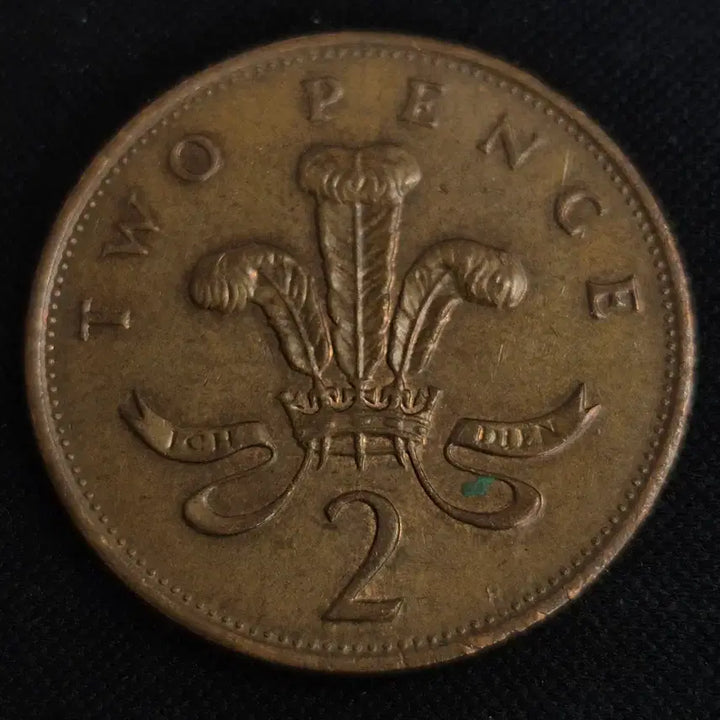 [BUNJANG] 1988 United Kingdom 2 Pence Coin / 1988년 영국 2펜스 동전 [EP. 2835]