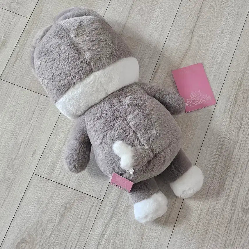 [BUNJANG] Stray Kids Wolf Chan Teddy Bear Plush - Bang Chan / 스트레이키즈 스키즈 스키주 울프찬 테디 베어 테디베어 미사용 방찬 인형